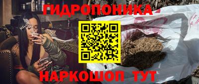 apvp Обь