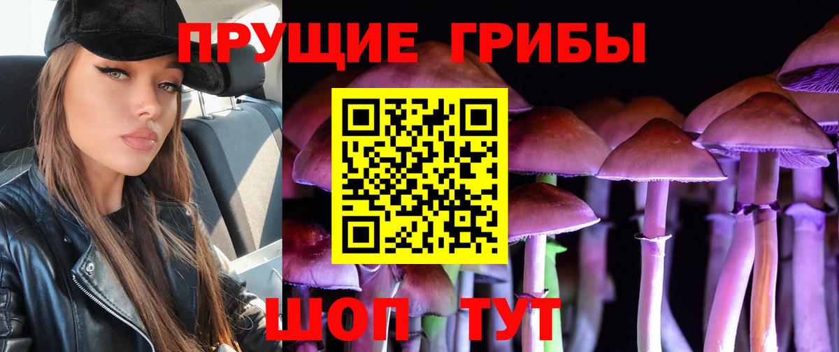 Саратов  Галлюциногенные грибы Cubensis  Вход с VPN 