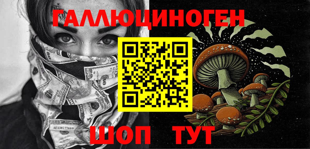 Псилоцибиновые грибы Cubensis Саратов